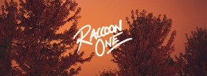 blogg-kritik-raccoon-one