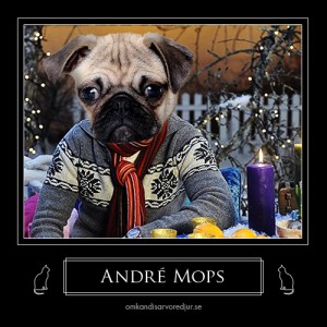 André Mops